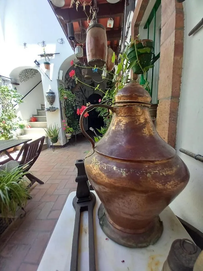 Casa Museo Jerez Centro Appartement Jerez de la Frontera