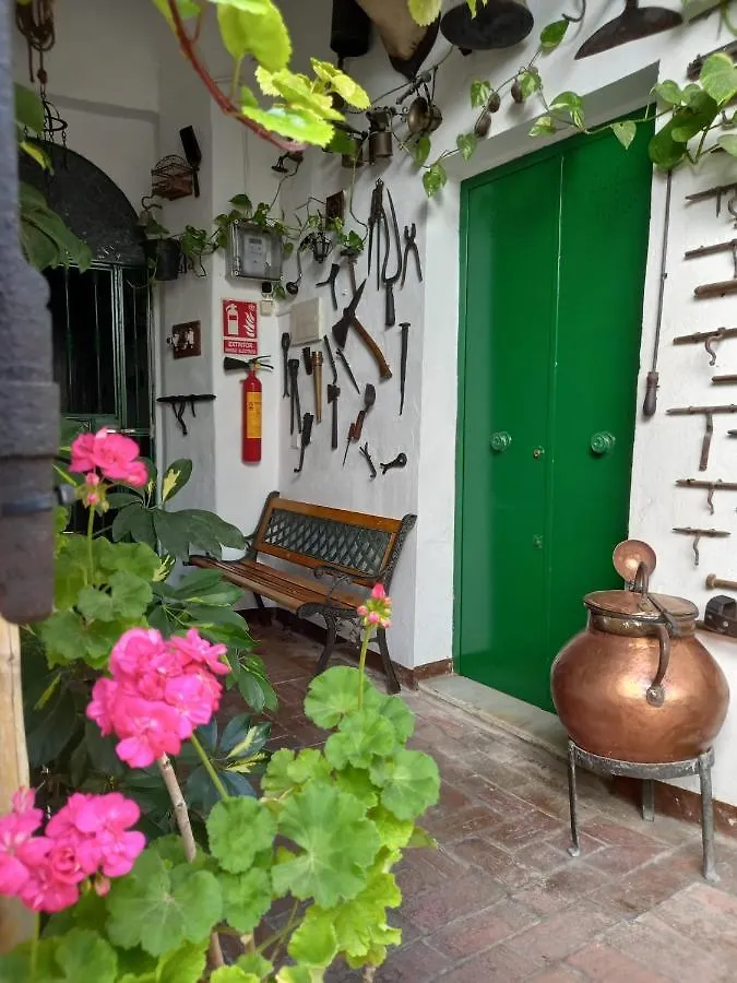 Casa Museo Jerez Centro Apartment Jerez de la Frontera